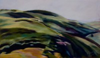 Camden Hills by Teresa McCue