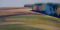 Lincolnville Field by Teresa McCue